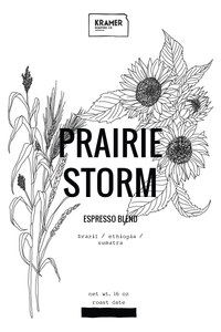 Prairie Storm